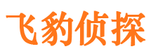 东明侦探公司